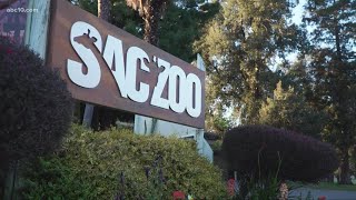 Elk Grove completes study on move and expansion of Sacramento Zoo screenshot 4
