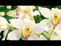 Richard Clayderman   Belle