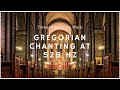 Gregorian Chants at 528 Hz | 1 Hour of Healing Music