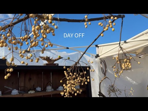 【vlog】関西蚤の市が楽しくて素敵ですでに来年が楽しみ｜夜勤明けの休日｜December