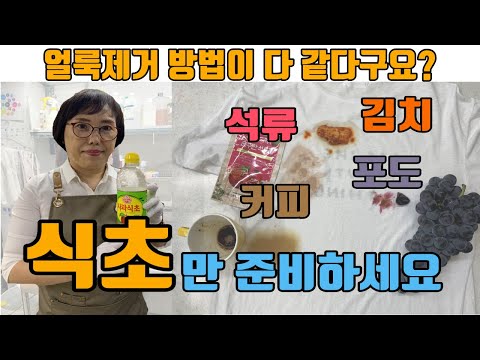 [얼룩제거] 과일얼룩제거, 김치얼룩제거! 이 모든 얼룩이 식초하나면 지워집니다. 탄닌계 얼룩제거 특집! 사과얼룩, 토마토얼룩, 포도얼룩, 커피얼룩, 카레얼룩까지 제거!