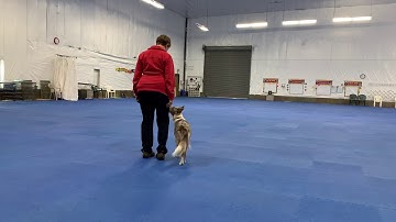 Jenny and Mary Heel speed and Cue 10-1-18