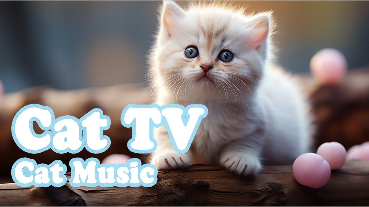 View of The Cat becomes quiet💖😺🐈‍⬛ Sleep music, Separation Anxiety Music, Relax ...