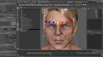 joint based facial expression 09 eyelid corrective and weight refine
