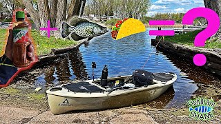 Catch & Cook Tajin Fish Tacos?? Is the Ascend H10 is my new favorite 🎣 boat??❤️ #kayakfishing by FishBrain Shane 126 views 9 days ago 10 minutes, 39 seconds