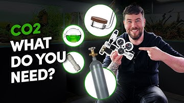CO2 For Planted Aquarium: What You ACTUALLY Need In 5 Easy Steps