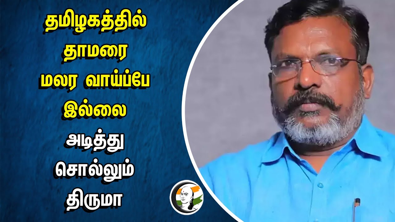 தமிழகத்தில் தாமரை மலர வாய்ப்பே இல்லை..  அடித்து சொல்லும் Thirumavalavan | Loksabha Election Results