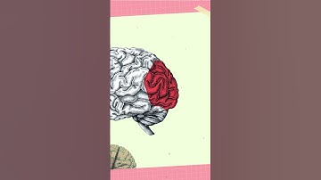Research by Hubel and Wiesel on Primary Visual Cortex #psychologyexperiment #arvindotta #psychology