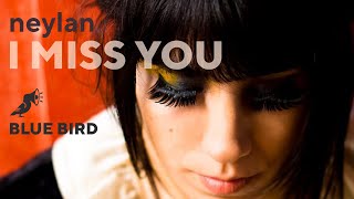 Blue Bird By Neylan  Snapmuse  Royalty Free 