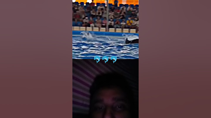 Jab Dolphin trick Me Hui Gadbad ( 🎥 _@umer2m) #funny #love