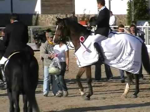 The One and John Hickey Champion Moscow 2006