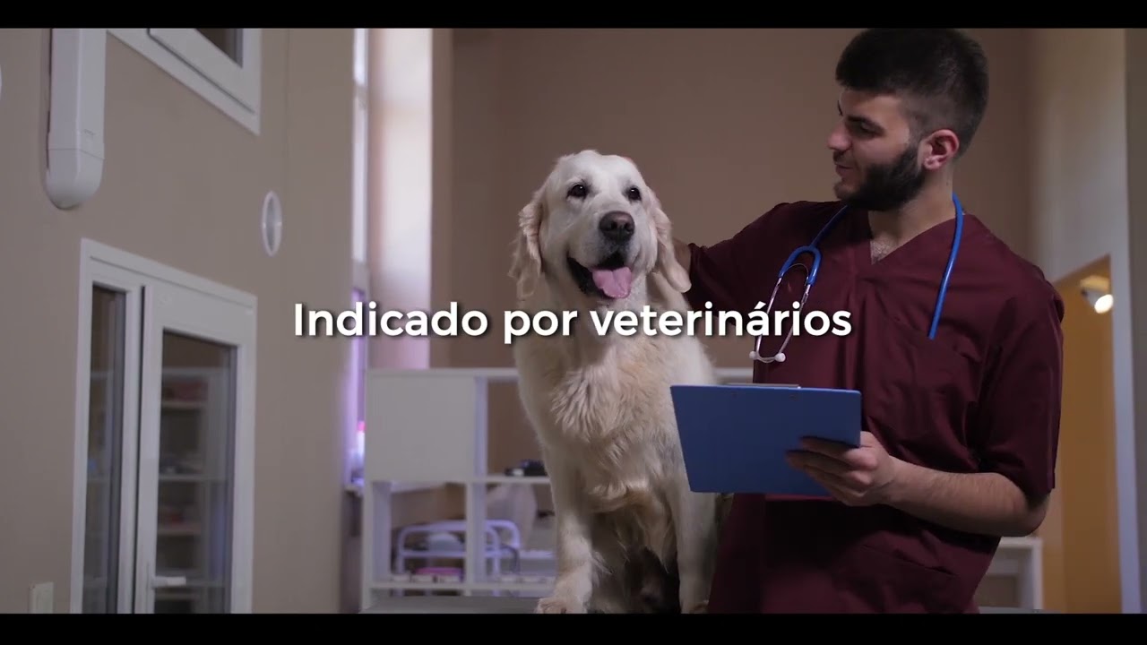 ossopim corrigido