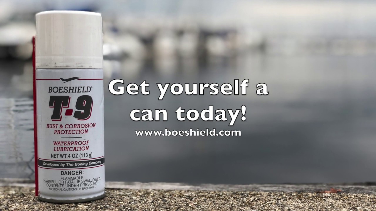Boeshield T9 Bike Chain Lube - 4oz, Aerosol