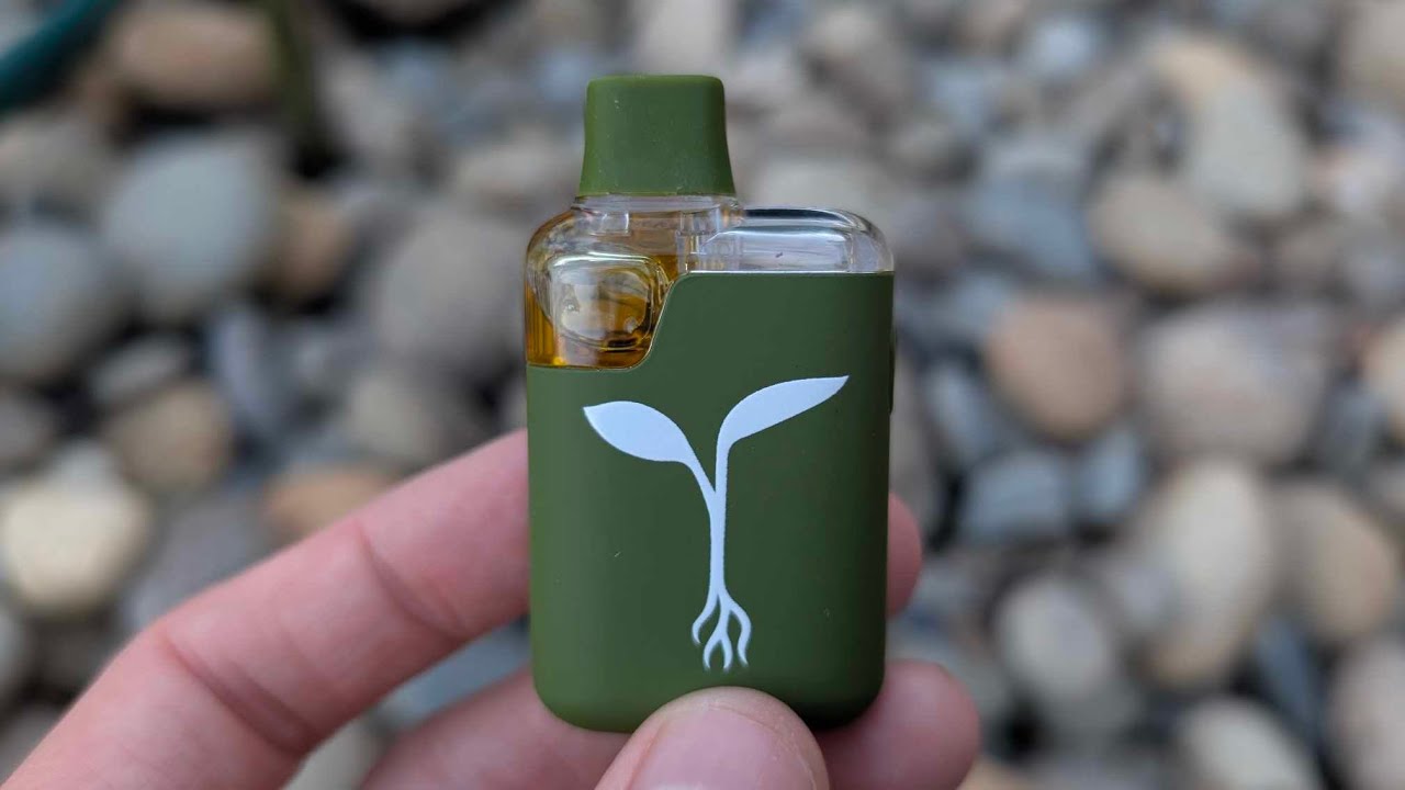 FADED OFF THE RAW GARDEN DISPOSABLE