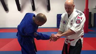 Budoshin Jujitsu: Training Tips, Techniques, & Variations by George Cushinan
