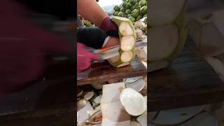 ?️Cutting coconut Skills skillshots cuttingfruit shorts cutting 51