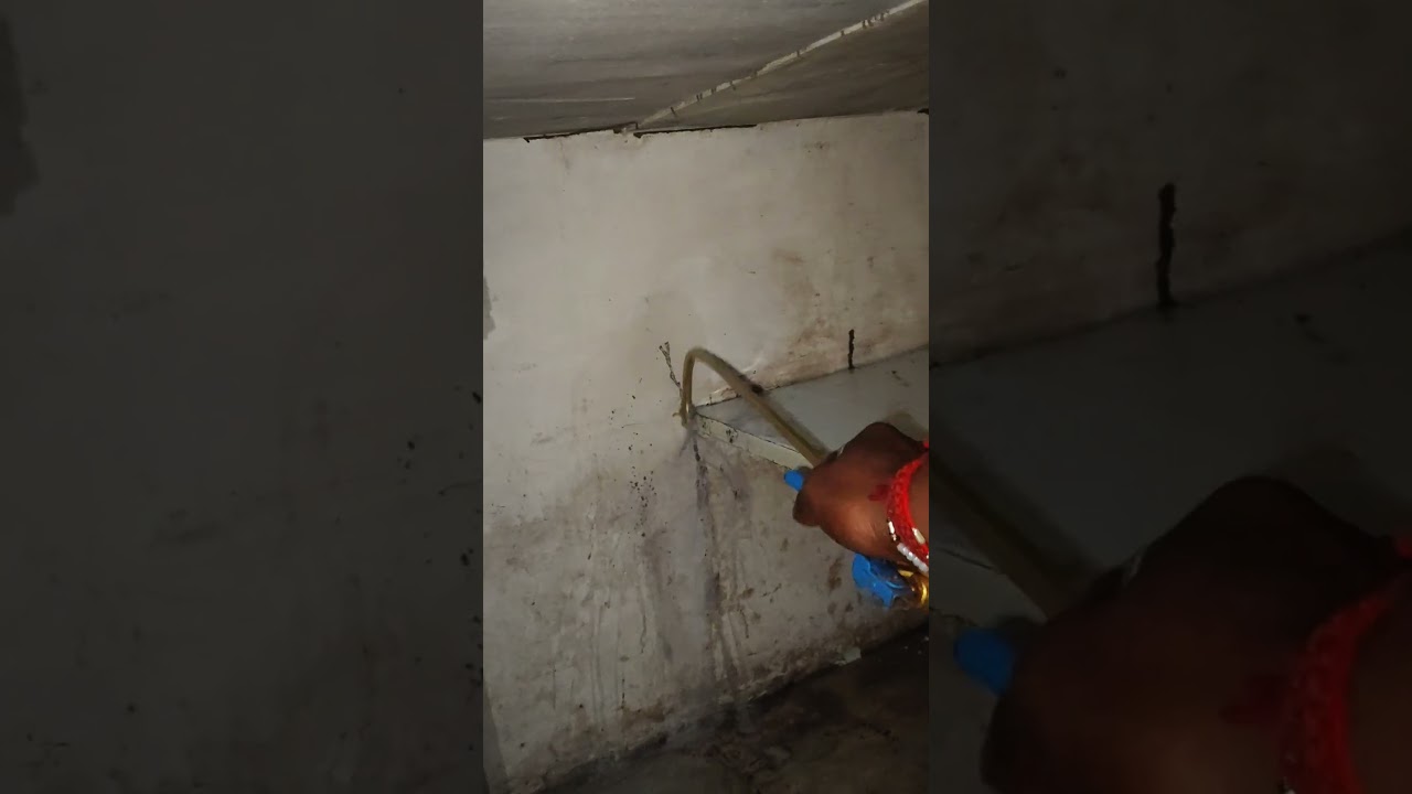 Termite Problem in Kitchen | Anti-Termite Treatment | Best Pest Control | Perfect Pest Control MP