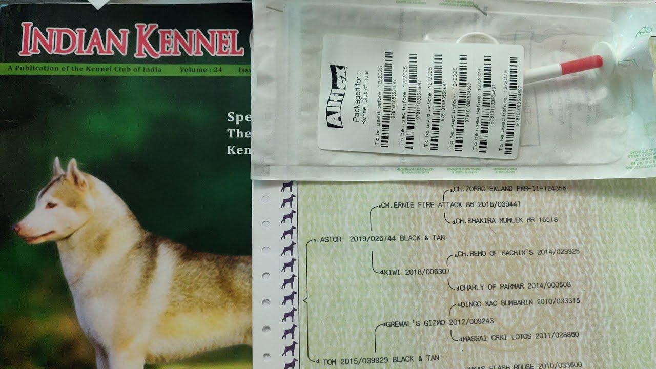 KCI paper kya hota hai? Lena chaiye ki nahi? Aajtak ka sabse brief