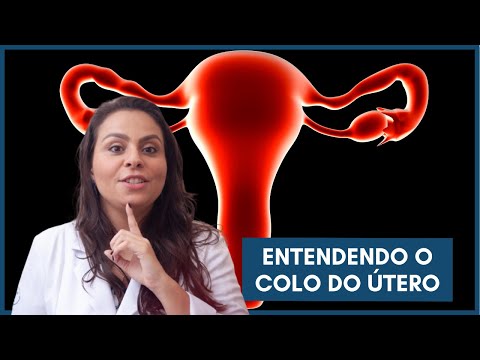 Vídeo: Onde está localizado o útero?