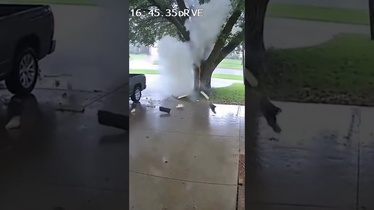 Lightning Strike Hits Tree! ⚡🌲 Caught On Camera