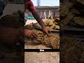 How Pakistani Craftsmen Make Cart Wheels 🔥🛞 #lumifarm #discoverydose #facts #shorts