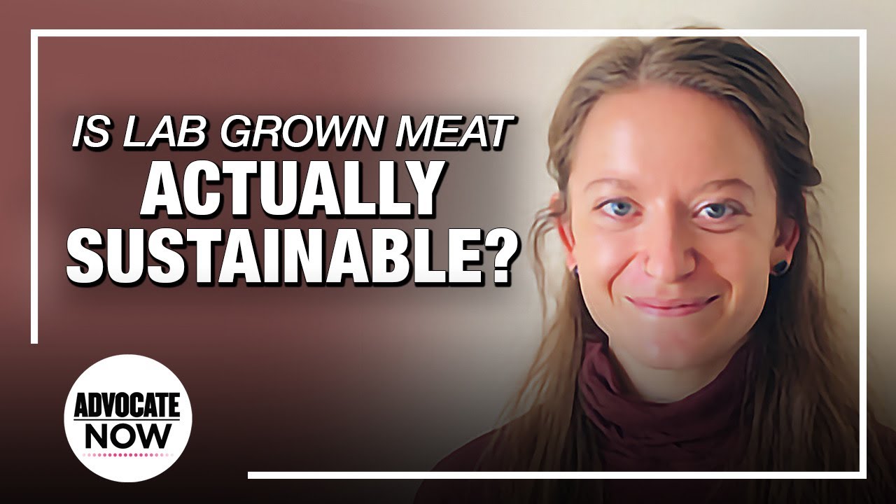 Julia Ranney on Lab-Grown Meat - YouTube