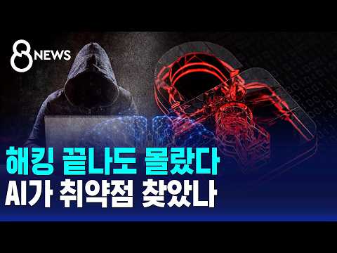 Didn't Know Even After the Hack Ended... Did AI Find the Vulnerabilities? / SBS 8 News