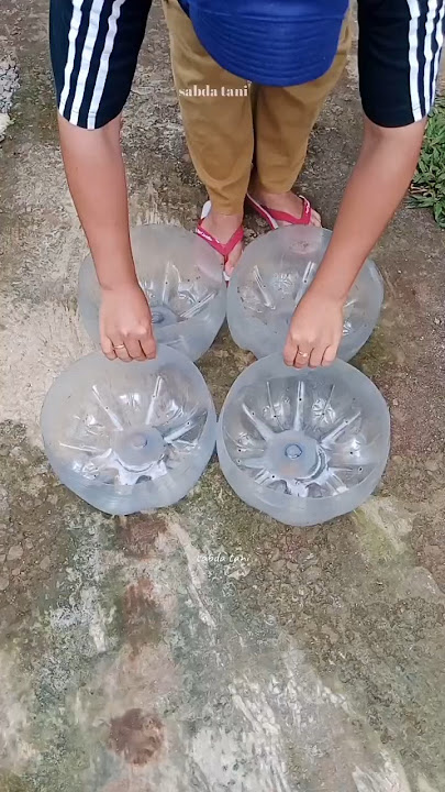 menanam kale di botol bekas