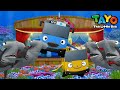 Hammerhead Shark Song l Animal Songs for Kids l Learn Sea Animals with Tayo the Little Bus