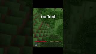 Why YOU CAN'T MLG in Minecraft!