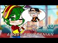 How Deku Calms his Angry Pomeranian | Skit | BkDk