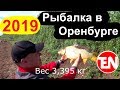 Рыбалка Оренбург 2019