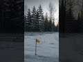Found on Christmas Eve