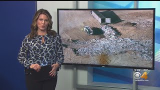Landfill Search Set For Kelsey Berreth's Remains