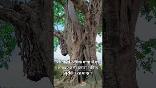 Paudhe Lagao Future Bachao 🌱#savetrees #shortvideo #trending #nature #shorts