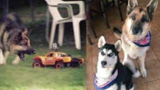 RIP Zeus Atwood | Best Moments Of Zeus Atwood