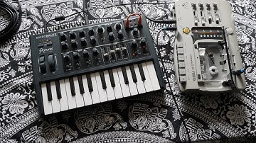 Making a Tapeloop With a Microbrute