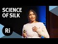 The ancient technology of silk  with aarathi prasad at ada lovelace day