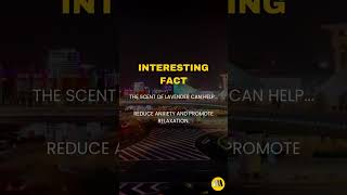 The Subtle Art of Persuasion: How Psychology Nudges Your Decision-Making