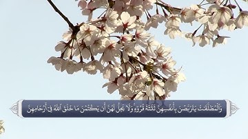 نام های الله متعال در قرآن آیه 228 سوره بقره