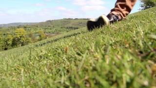 Showreel 2013 - 2014