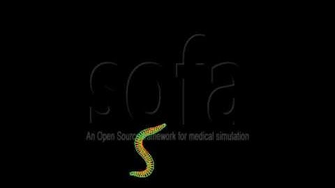 caenorhabditis elegans, locomotion model