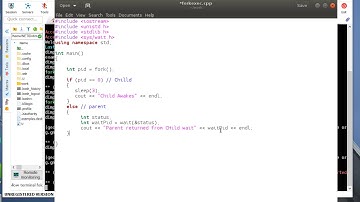 Fork Exec Coding Example