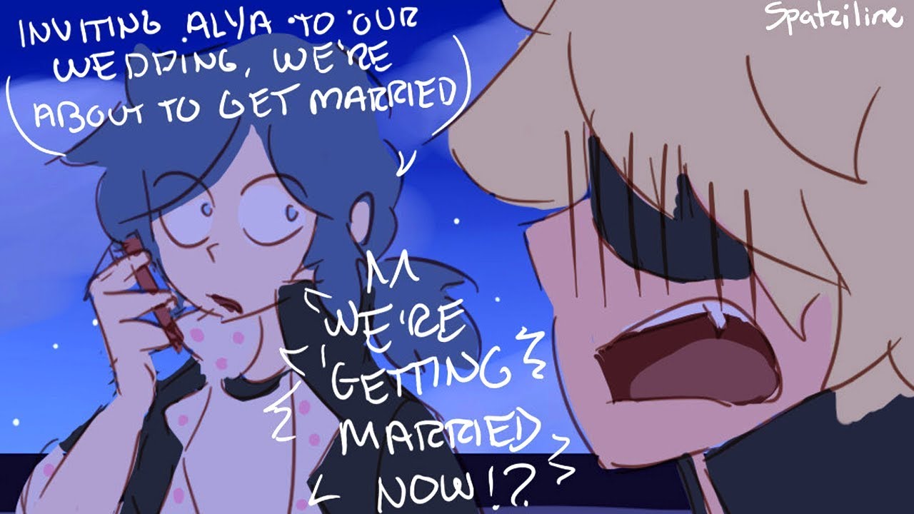 Chat Noir Gets Marriedmiraculous Ladybug Comic Dub Compilation