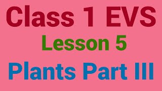 Class 1 EVS Lesson 5 Plants Part III