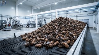 Inside a Massive Modern Pine Processing Factory: From Resin & Pine Nuts to Finished Product