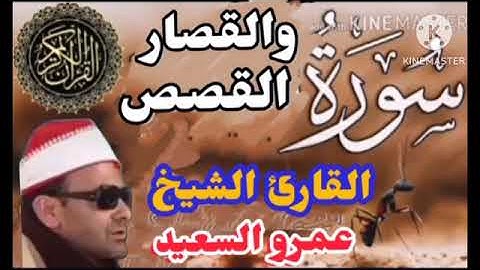 الشيخ عمرو السعيد ما تيسر من سوره القصص والقصار