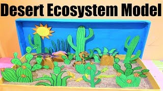 desert ecosystem project model | science project | howtofunda | desert diorama craft ideas making