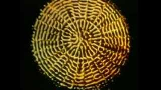 432Hz Cymatics Part 3 of 3