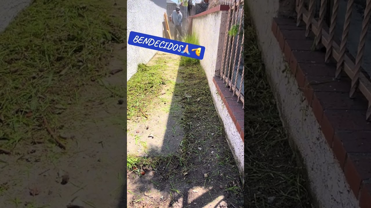 #satisfying #yardcleaning #yardmaintenance #yardwork #jardiner&iacute;a #lawn #lawncareservices